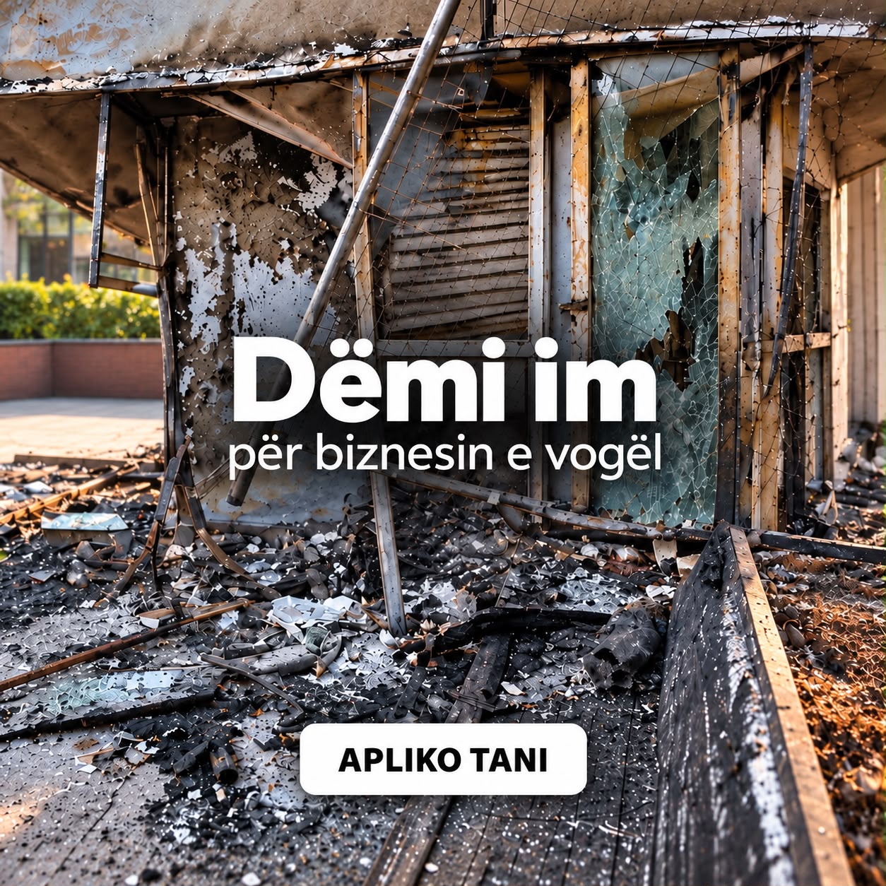 Dëmi im